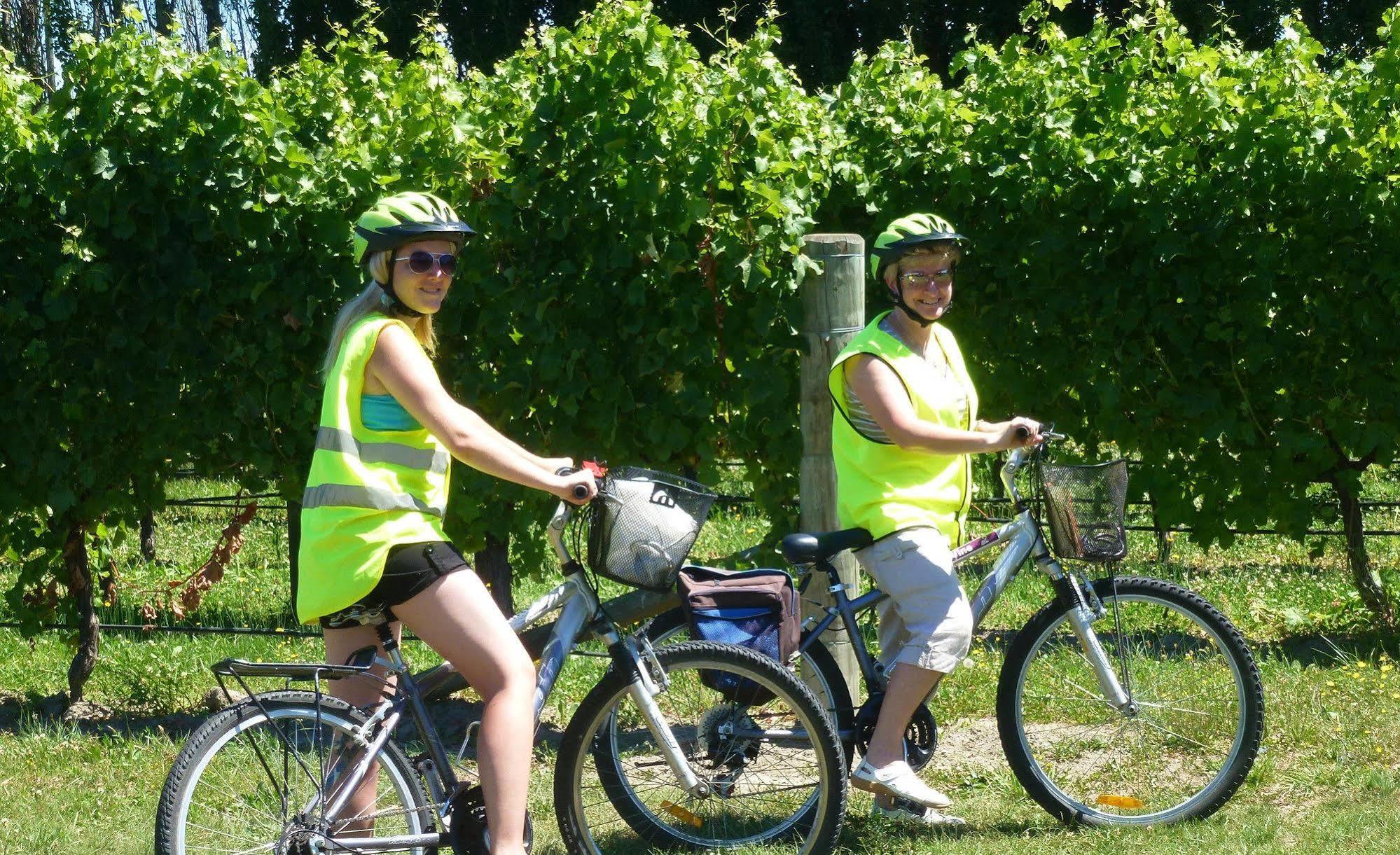 Olde Mill House B&B & Bike2Wine Cycle Hire Renwick Eksteriør bilde